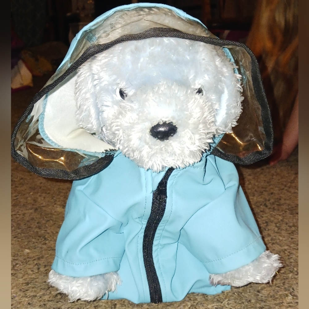 Doggie raincoat